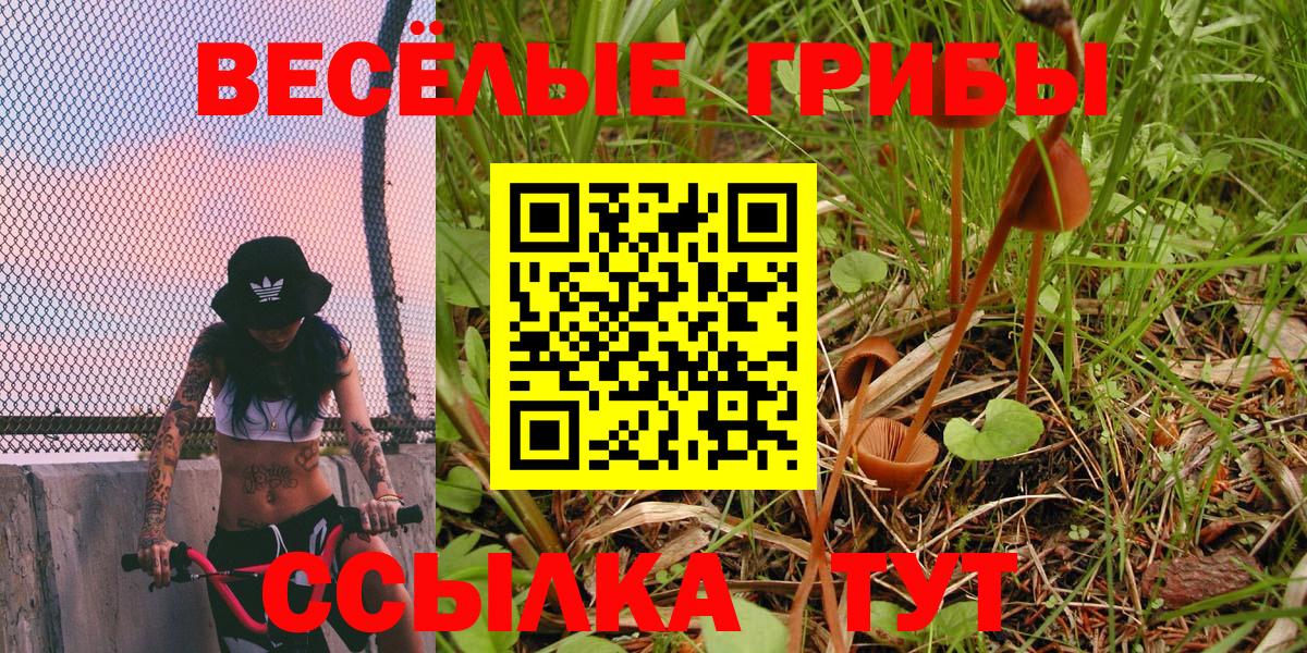Псилоцибиновые грибы GOLDEN TEACHER Рыбинск